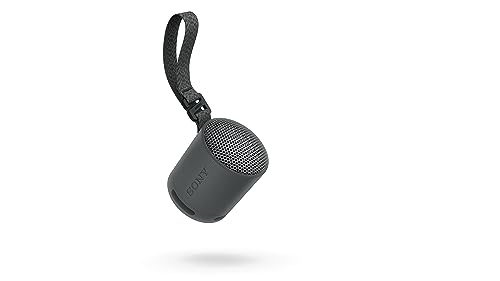 sony srs xb100 enceinte sans fil bluetooth, portable, légère, compacte, durable, ip67, étanche à l'eau et à la poussière, batterie 16h, dragonne polyvalente, appels mains libres, noir