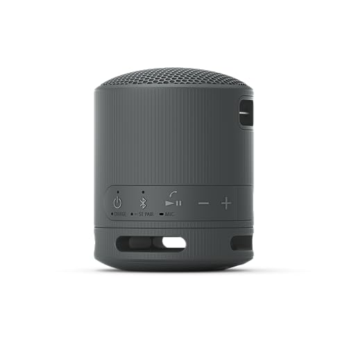 sony srs xb100 enceinte sans fil bluetooth, portable, légère, compacte, durable, ip67, étanche à l'eau et à la poussière, batterie 16h, dragonne polyvalente, appels mains libres, noir