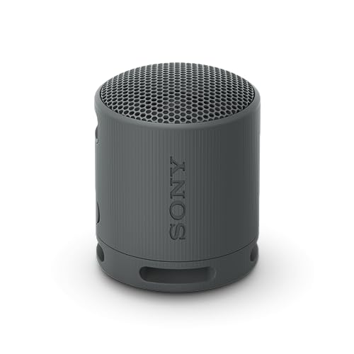 sony srs xb100 enceinte sans fil bluetooth, portable, légère, compacte, durable, ip67, étanche à l'eau et à la poussière, batterie 16h, dragonne polyvalente, appels mains libres, noir