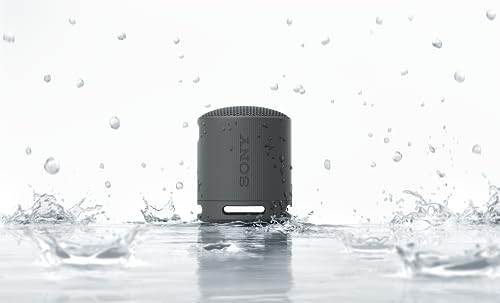 sony srs xb100 enceinte sans fil bluetooth, portable, légère, compacte, durable, ip67, étanche à l'eau et à la poussière, batterie 16h, dragonne polyvalente, appels mains libres, noir