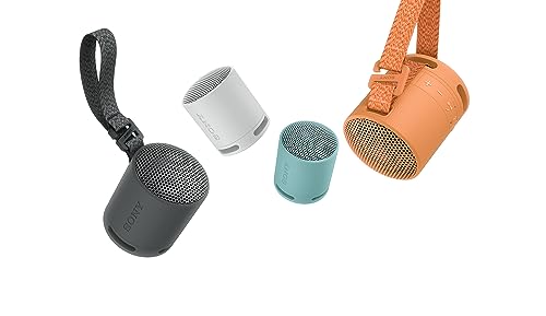 sony srs xb100 enceinte sans fil bluetooth, portable, légère, compacte, durable, ip67, étanche à l'eau et à la poussière, batterie 16h, dragonne polyvalente, appels mains libres, noir