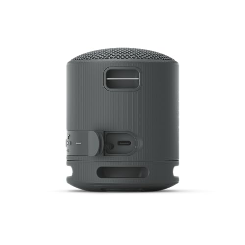 sony srs xb100 enceinte sans fil bluetooth, portable, légère, compacte, durable, ip67, étanche à l'eau et à la poussière, batterie 16h, dragonne polyvalente, appels mains libres, noir