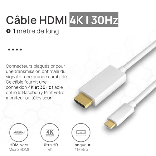 raspberry pi 4 4 go starter kit | alimentation usb c 15w | boîtier | carte sd 64gb | câble 4k micro hdmi | kit dissipateur thermique
