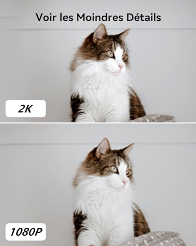 imou 2k(3mp) caméra surveillance wifi intérieure caméra 360° connectée smartphone avec détection humaine ai suivi intelligent sirène audio bidirectionnel compatible alexa pour bébé/animaux