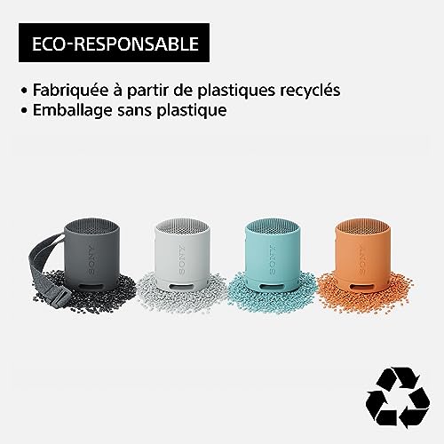 sony srs xb100 enceinte sans fil bluetooth, portable, légère, compacte, durable, ip67, étanche à l'eau et à la poussière, batterie 16h, dragonne polyvalente, appels mains libres, noir