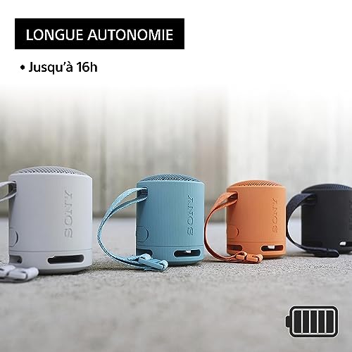 sony srs xb100 enceinte sans fil bluetooth, portable, légère, compacte, durable, ip67, étanche à l'eau et à la poussière, batterie 16h, dragonne polyvalente, appels mains libres, noir