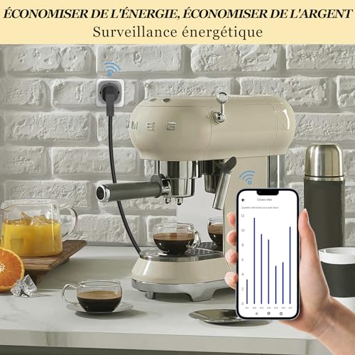 surfou prise connectée zigbee 3.0 avec minuteur et contrôle vocal, mesure consommation electrique, smart plug compatible avec philips hue, alexa, google home, hub connecté requis (2 packs)
