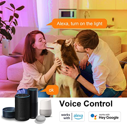 antela ampoule connectée wifi e14 a60 9w ampoule led intelligente rgb+cct 2700k 6500k compatible avec alexa, google home, commande vocale, 2 pcs