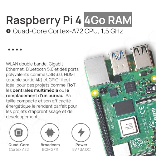 raspberry pi 4 4 go starter kit | alimentation usb c 15w | boîtier | carte sd 64gb | câble 4k micro hdmi | kit dissipateur thermique