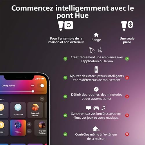 philips hue détecteur de mouvement motion sensor